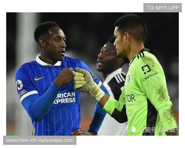 布莱顿前插选择多样