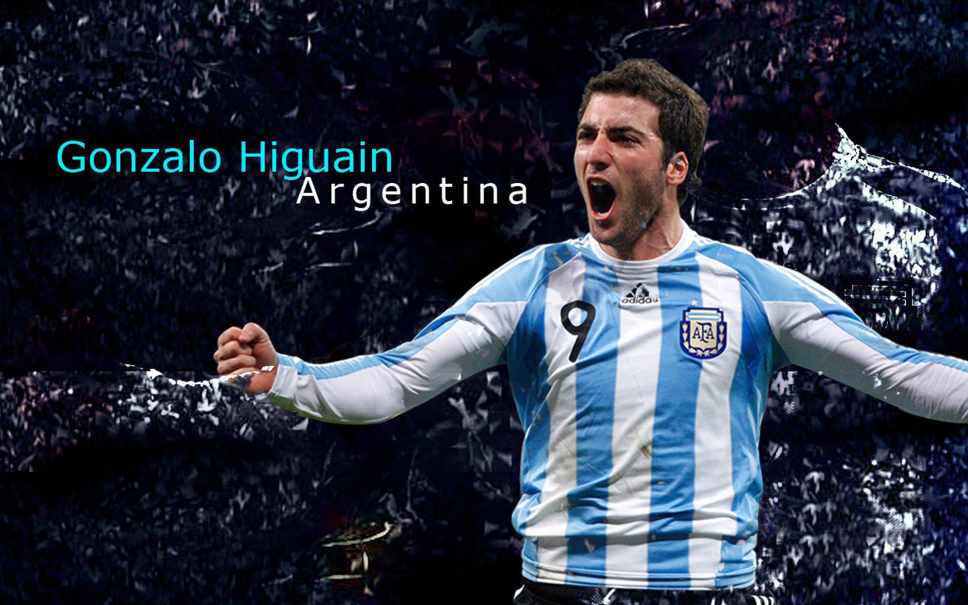 美洲杯明星助阵:激情燃烧,精彩纷呈!,美洲杯角色