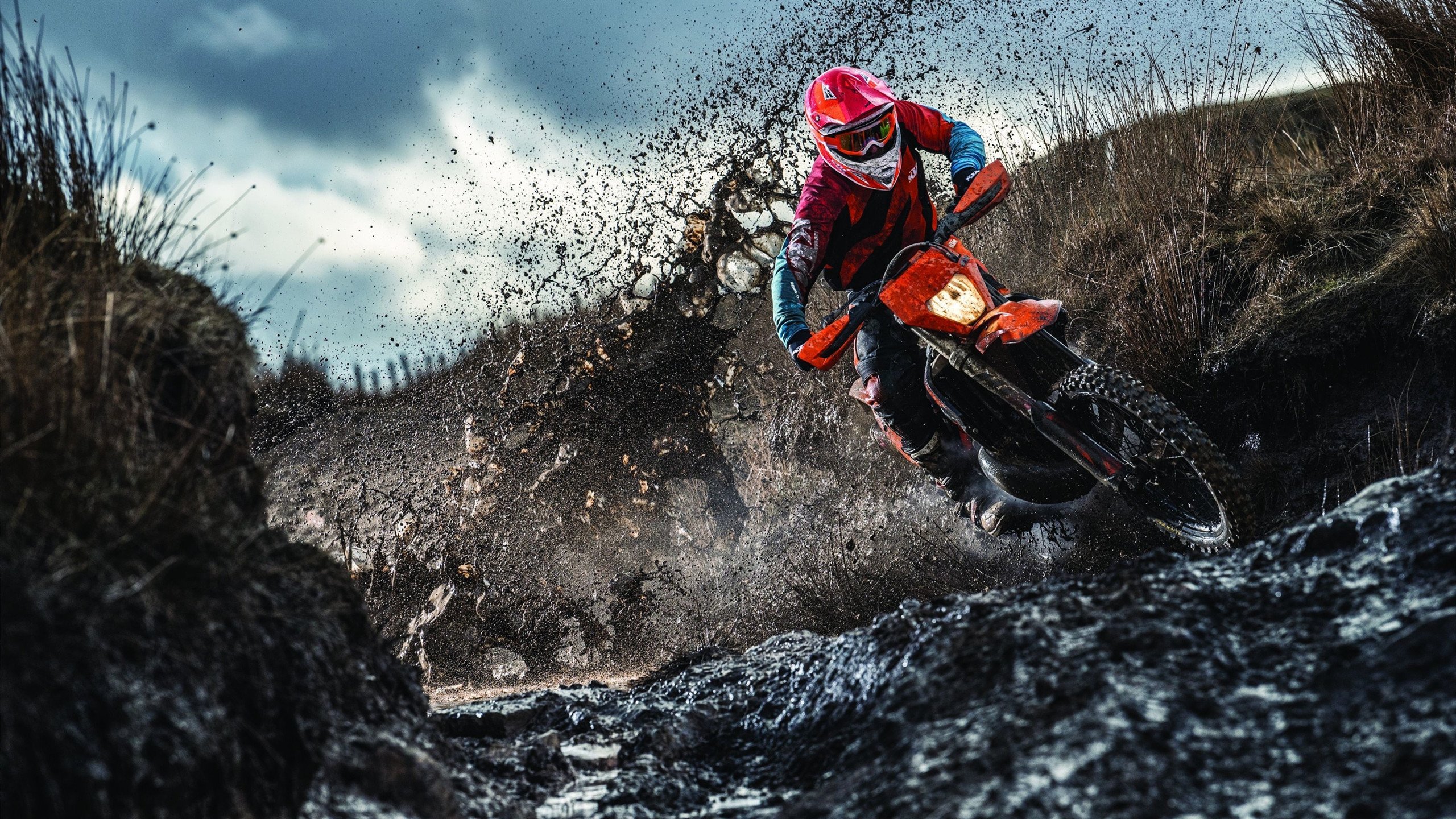 艾比·德尔福:用精准的防守预判让南非队在防线保持优势,艾德和比尔